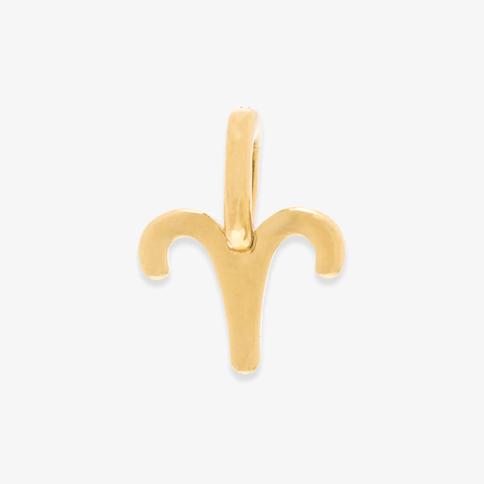 Harper Zodiac Charm