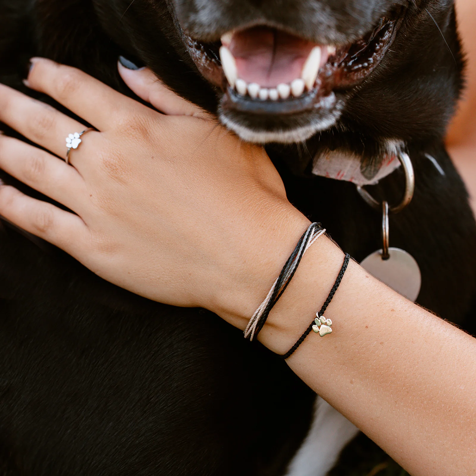 Pet Rescue Bracelet - Image 3